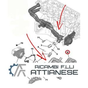 Kit Manicotti Da Termostato A Pompa Acqua Peugeot 1007 206 207 307 1.4 HDI